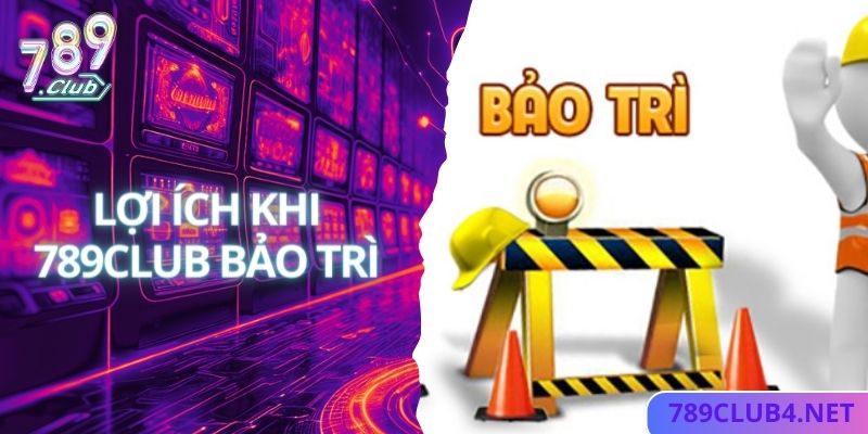 Lý do web cược bảo trì